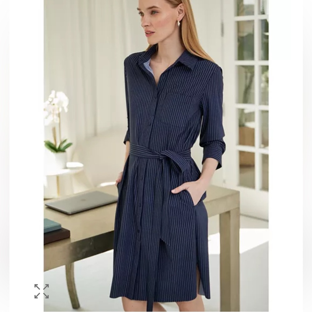 Lysse pinstriped dress